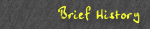 brief history