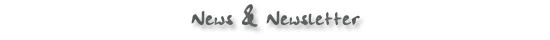 news and newsletter